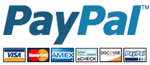 Fast and secure payment via PayPal