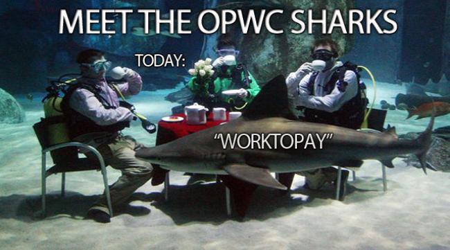 Meet The Sharks II
