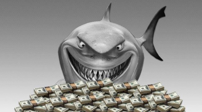 Meet The Sharks V